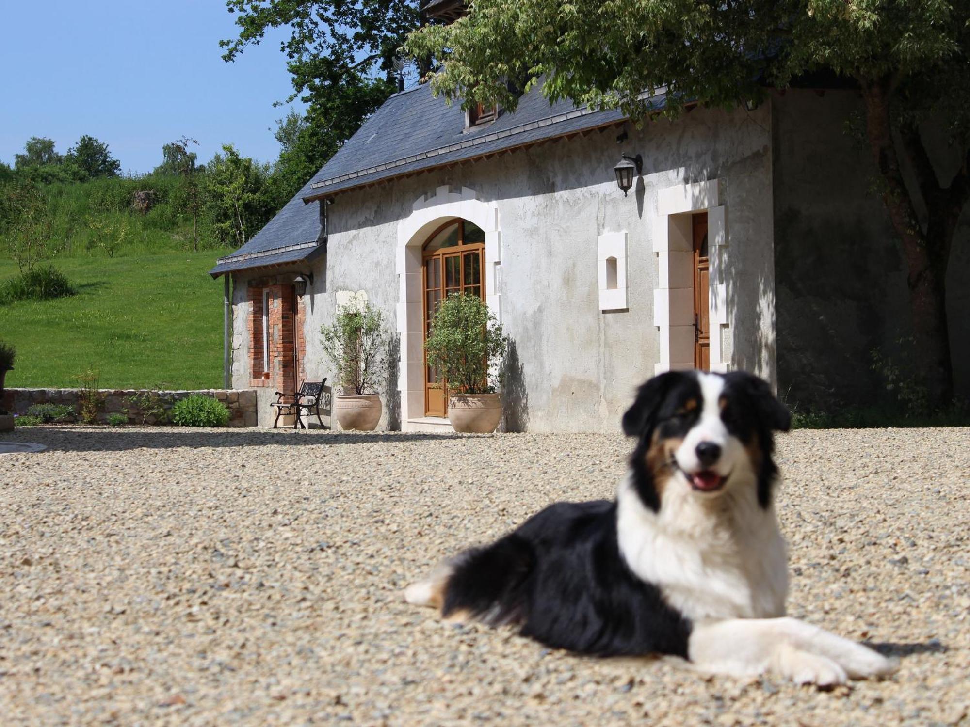 Gîte Cérans-Foulletourte-Cérans, 2 pièces, 6 personnes - FR-1-410-258 Exterior foto
